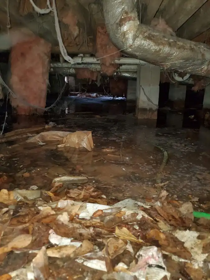 Crawl space flood assessment for Leak Detection & Repair in Fairview