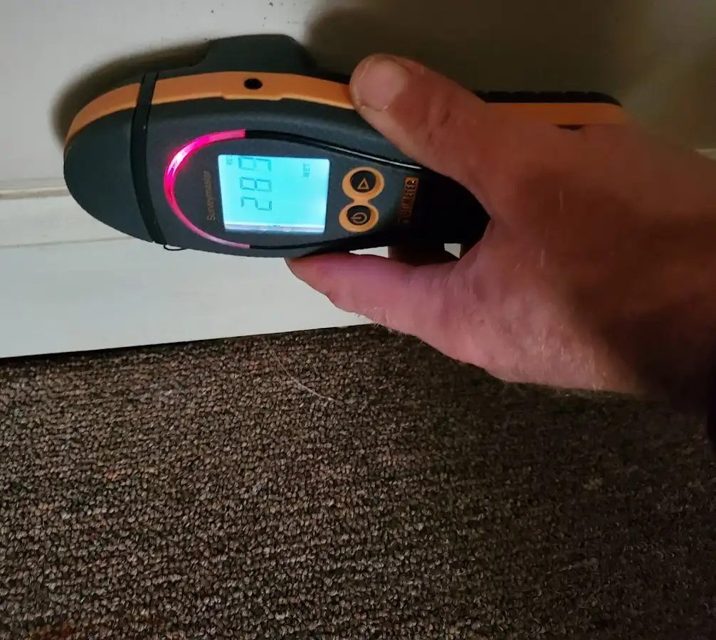 Moisture detection at baseboard during Sewage Cleanup & Sanitation in Fairview